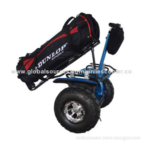 Hot Selling Electric Motor Scooters